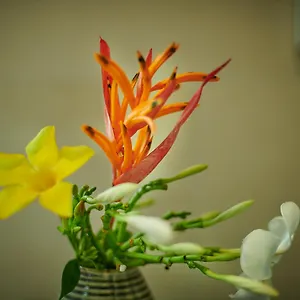 https://ranis-lodge.tophotelslangkawi.com